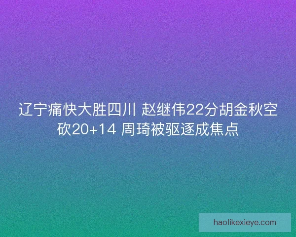辽宁痛快大胜四川 赵继伟22分胡金秋空砍20+14 周琦被驱逐成焦点